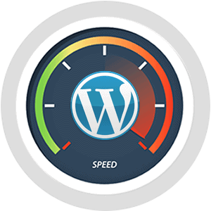 shared hosting Litespeed Cache